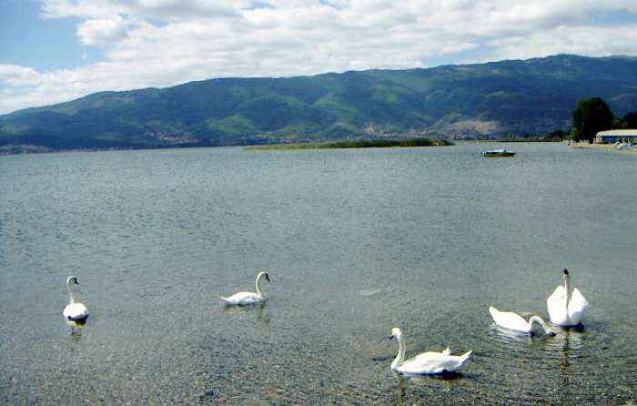 Turistët vendas ankohen për çmimet e larta në Ohër