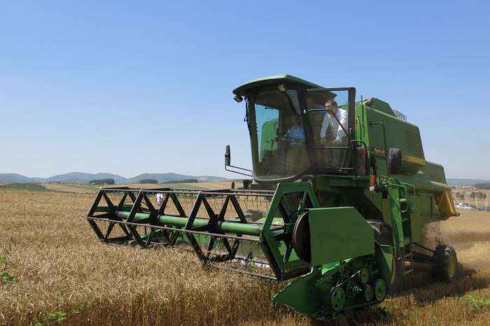 Rritje e rendimenteve të misrit në Maqedoni