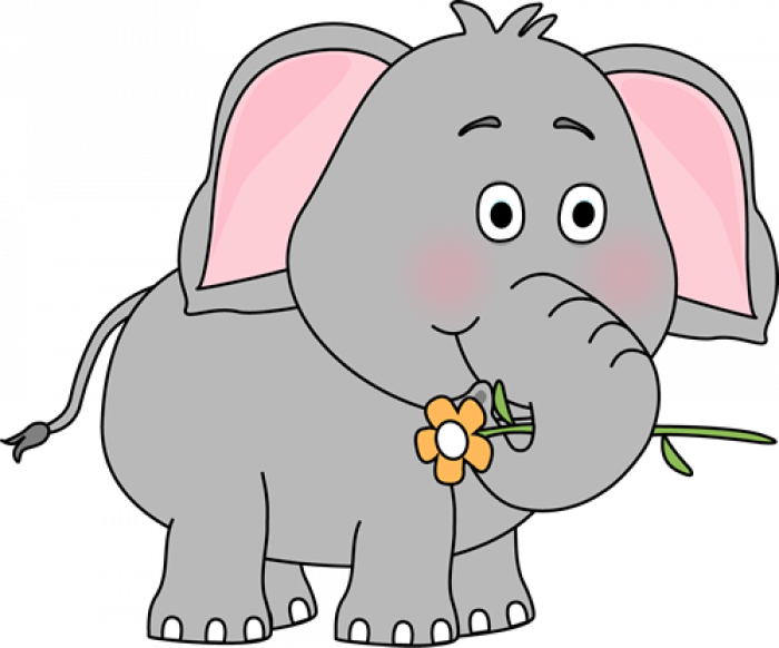 Rëndësia e familjes tek elefantët