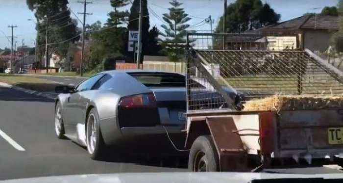 Lamborghini tërheqë rimorkion me dhi (Video)