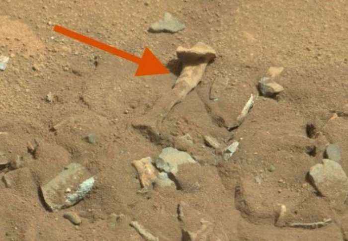 A është zbuluar dëshmia absolute e jetës në Mars?
