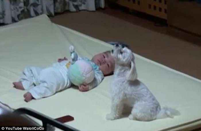 Emociounese: Qeni ia ndal vajin fëmijës (Foto/Video)