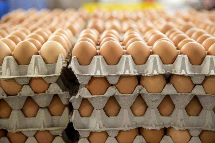 ​Skandali me vezë të infektuara shpërthen edhe në Spanjë