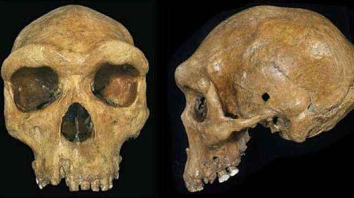 A është vrarë një neandertal me plumb para 300,000 vjetësh?