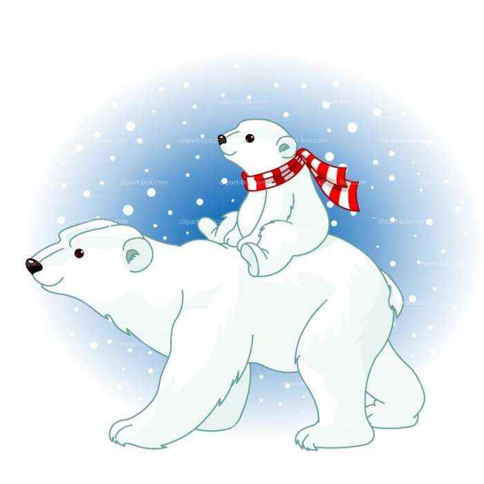 A e dini se ku jetojnë arinjtë polarë?