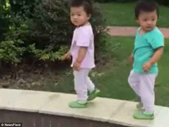 Momenti kur binjakët ecin dhe bien së bashku (Foto/Video)