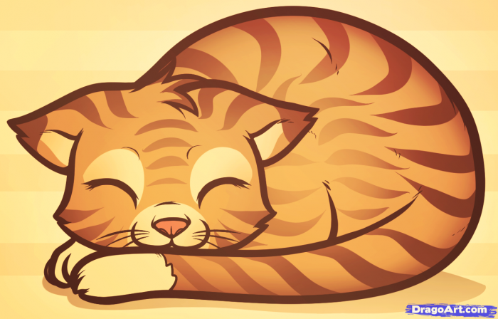  A e keni ditur se sa marrin energji macet nga gjumi?