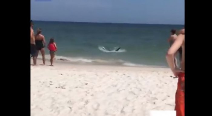 Peshkaqeni i tmerron pushuesit (Video)