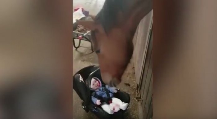 Kali qetëson foshnjën, shikojeni reagimin! (VIDEO)