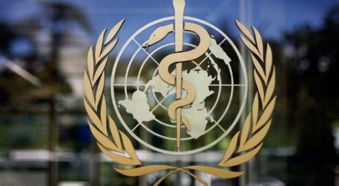 Skandaloze: OBSH harxhon më shumë para për udhëtime se për trajtimin e sëmundjeve vrastare (Foto)
