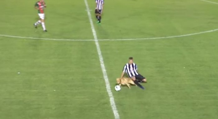 ​Qeni hyn në fushë dhe e rrëzon keq një futbollist