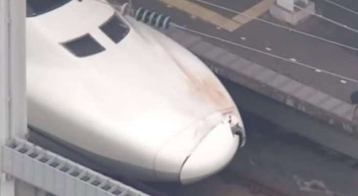 Shoferi i trenit në Japoni dëgjon zhurmë të çuditshme, shokohet kur në hundën e tij gjen gjymtyrë të njeriut (Video)