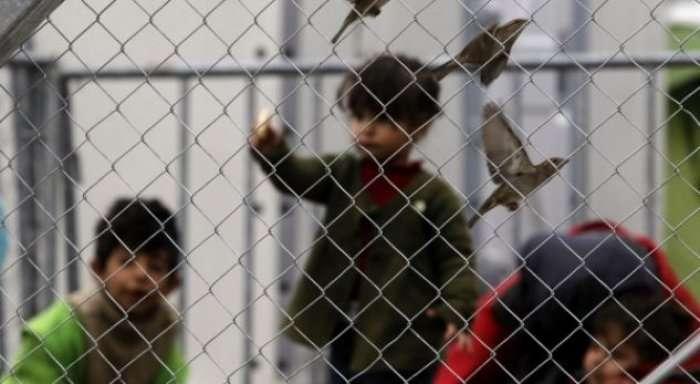 Rritet në Ballkan numri i fëmijëve refugjatë të pashoqëruar