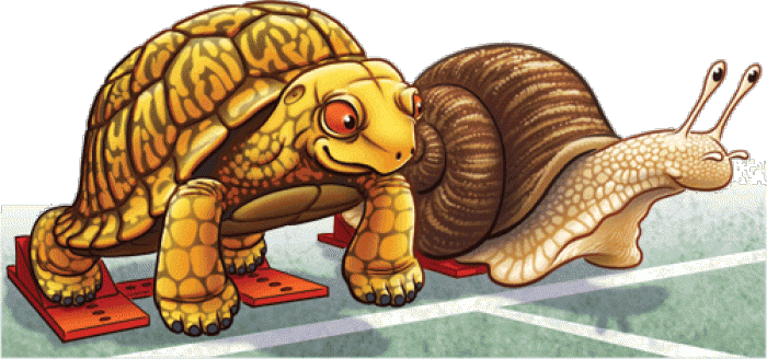 Pse breshkat dhe kërmijtë lëvizin në mënyrë të ngadaltë?