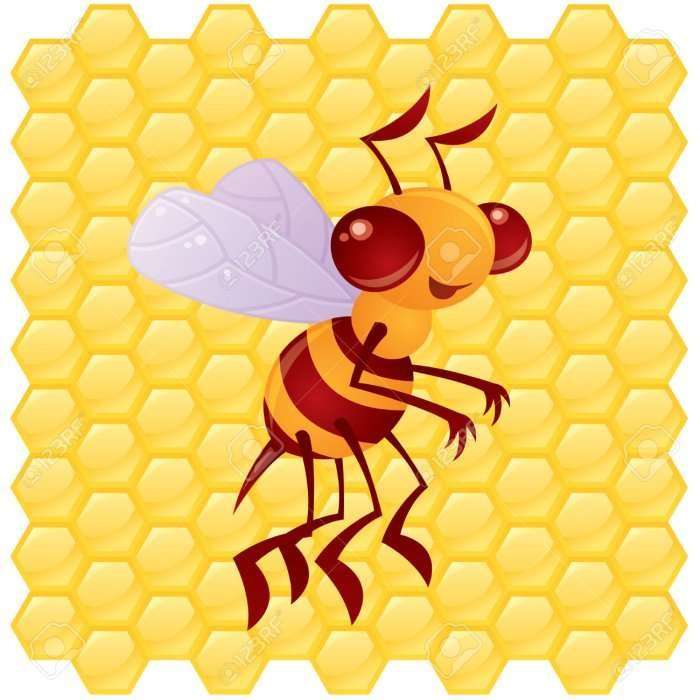 Si e bëjnë bletët mjaltën?