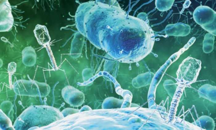 Nëse infeksionet ju kthehen gjithmonë, përgatiteni antibiotikun natyral që vret të gjitha bakteret