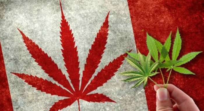 Kanadaja legalizon marihuanën për përdorim argëtimi