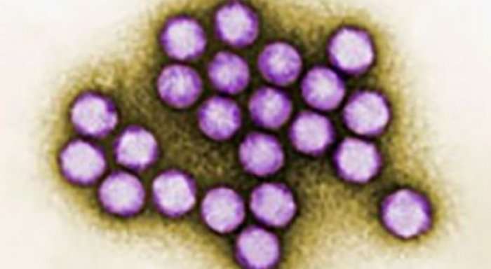 Gjashtë fëmijë vdesin nga shpërthimi i papritur i një virusi