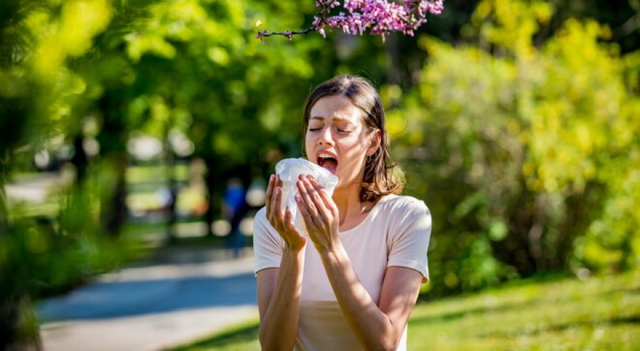 Ushqimet që duhet të konsumoni për t’i trajtuar alergjitë e pranverës