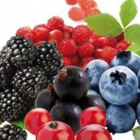 Disa arsye pse duhet të përfshini frutat e pyllit në dietën tuaj