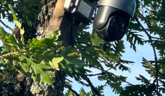 Policia gjen dy kamera që ishin vendosur pa autorizim në brezin kufitar mes Kosovës dhe Serbisë 