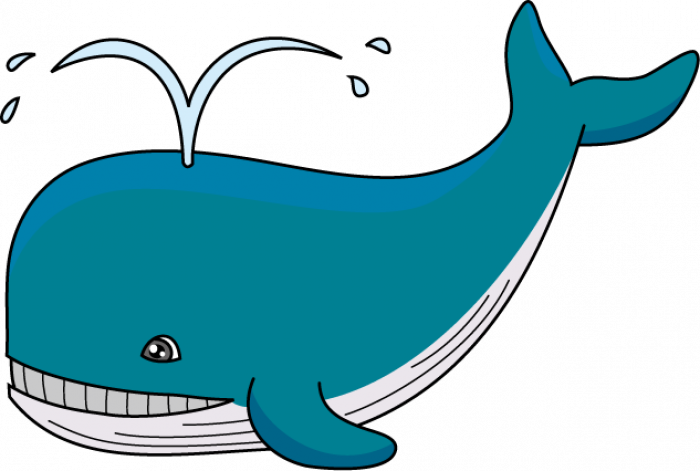 Si komunikojnë balenat 'Beluga'