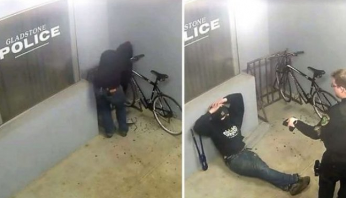 Hajni torollak provon të vjedhë një biçikletë në stacion policor(Video)
