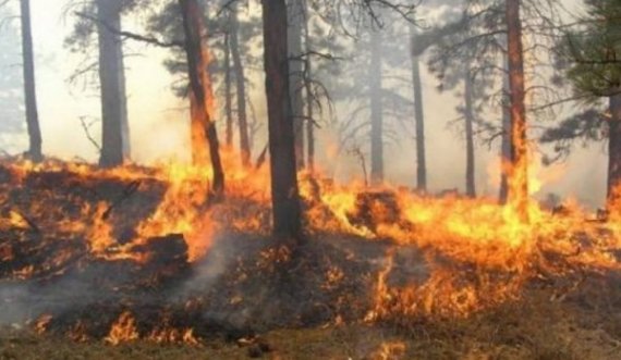 Shuhet zjarri në të gjitha vatrat e përfshira në Ferizaj