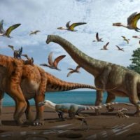 Zbulohet një specie e re dinosauri