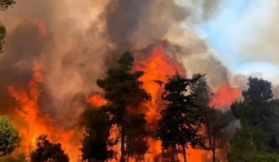 Flakët përhapen me shpejtësi, kërkohet ndihmë