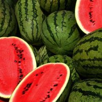 Shalqiri është një burim i pasur i vitaminave
