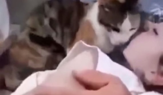 Emocionuese: Macja i jep Iamtumirën e fundit shokut të saj, fëmijës së vrarë paIestinez nga forcat izraelite
