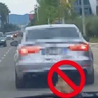 Tërhoqi zvarrë qenin me veturën e tij në rrugët e Tiranës, gjobitet shoferi
