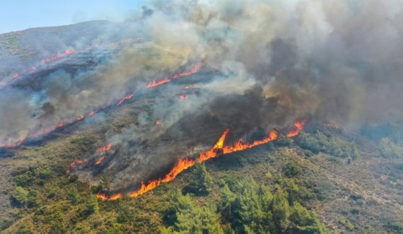 341 intervenime në zjarre vetëm në muajin korrik 