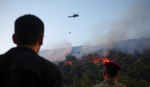 Shqipëri: Zjarret vazhdojnë të dëmtojnë ekonominë dhe mjedisin