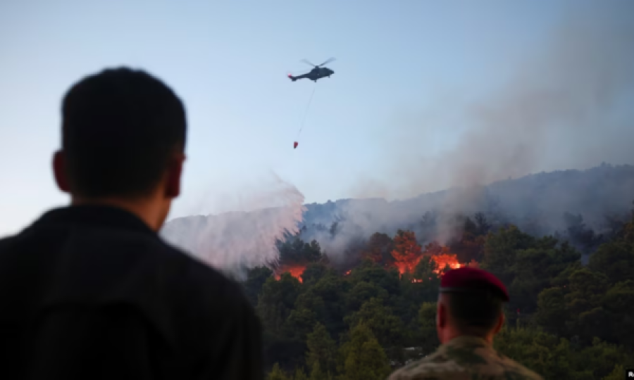 Shqipëri: Zjarret vazhdojnë të dëmtojnë ekonominë dhe mjedisin