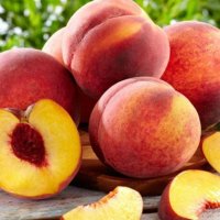 Pjeshka është e pasur me vitaminë C