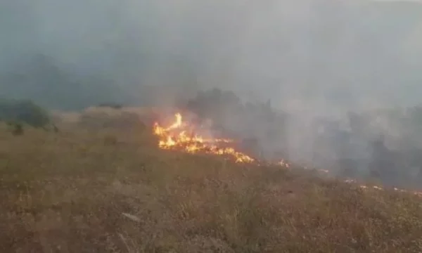 Përfshihet nga zjarri një stallë e derrave në Zubin Potok