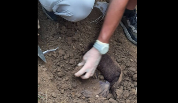 Dërgohen për identifikim mbetjet mortore që u gjetën në Podujevë, dyshohet se janë të një personi të zhdukur nga lufta e fundit