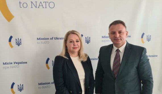 Ambasadori Zemaj takon përfaqësuesen e Ukrainës në NATO