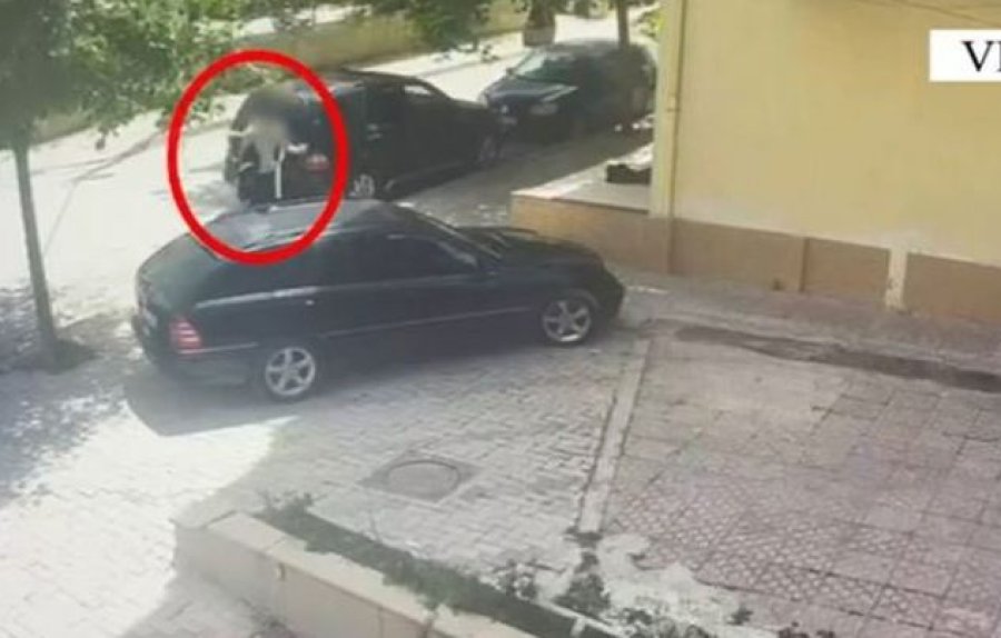 Kosovarit në Shqipëri, i vidhen një shumë parash në veturë