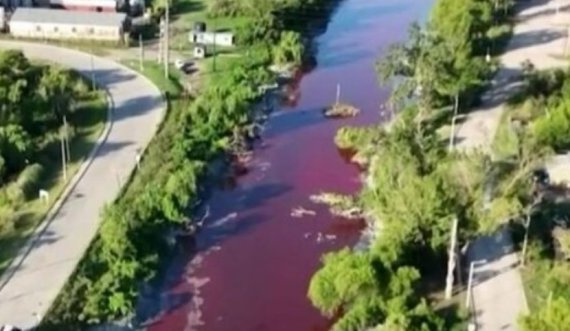 Një kanal në Buenos Aires, u bë i kuq